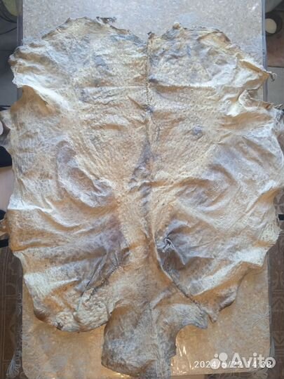 Кожа страуса (выделанная)