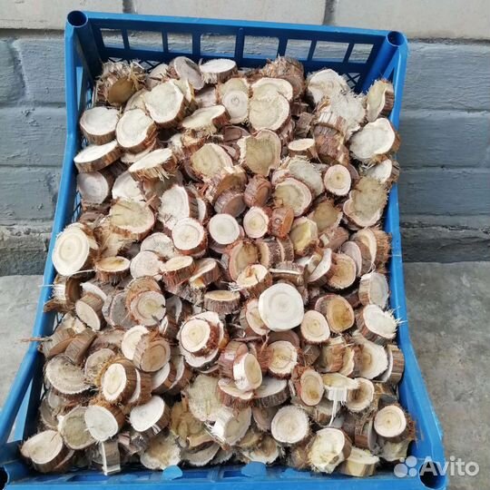 Спилы можжевельника