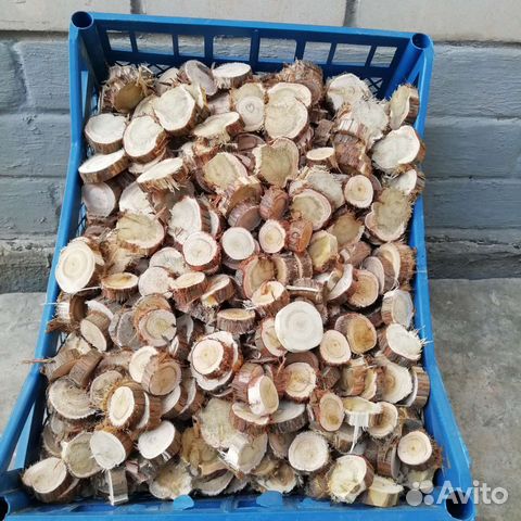 Спилы можжевельника