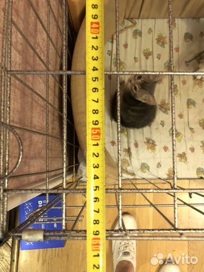 Клетка вольер для собак