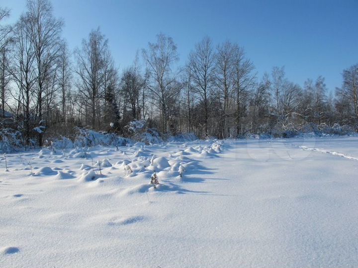 Участок 29 сот. (ИЖС)