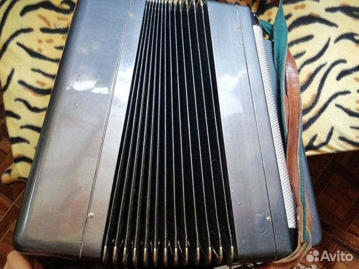 Баян тульский