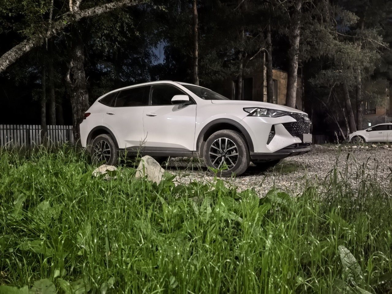 HAVAL F7: фото владельца