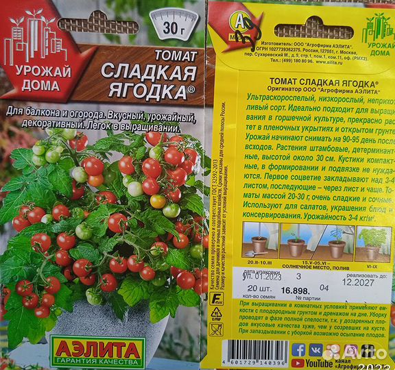 Помидоры для балкона