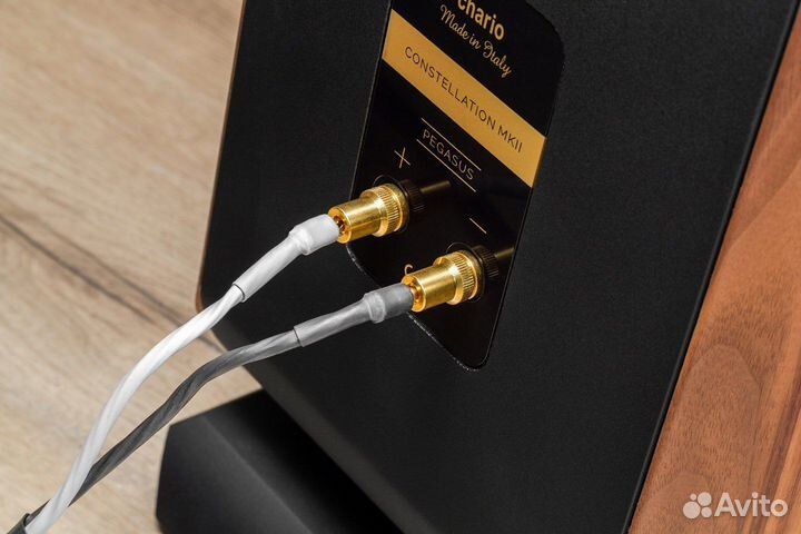 Chario constellation pegasus mkII