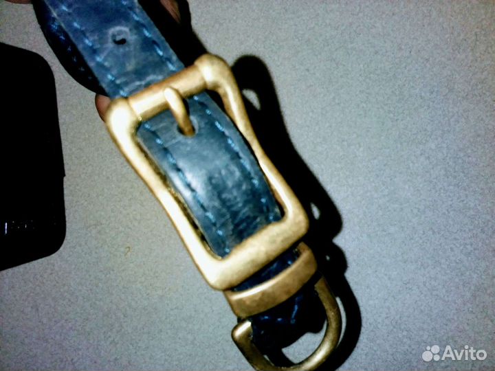 Ошейник фирменный