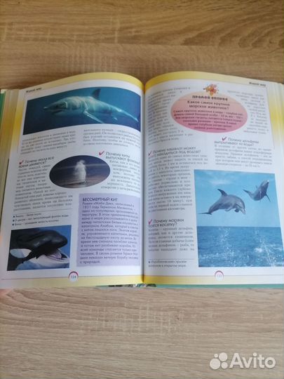 Энциклопедия. Хочешь знать почему