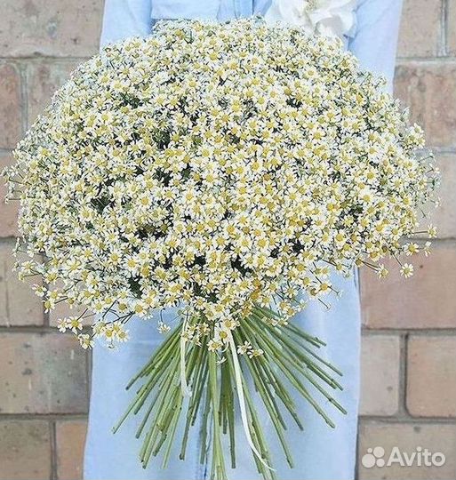 Цветы ромашки. Букеты ромашек. Цветы доставка