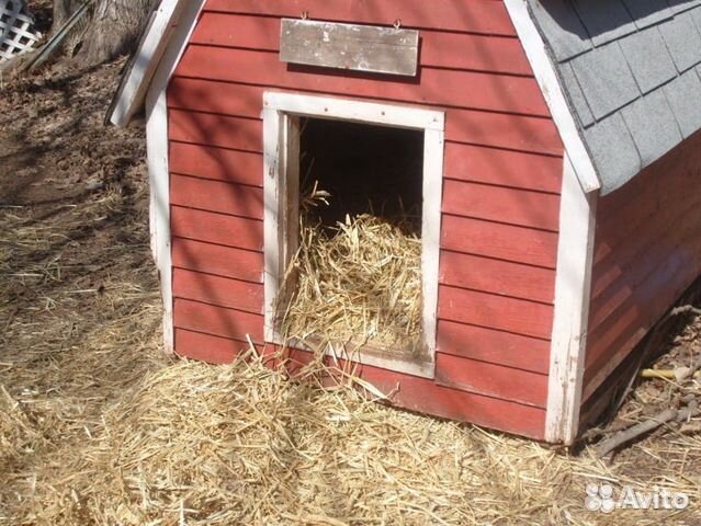 Солома в мешках для подстилки для собак, Доставка