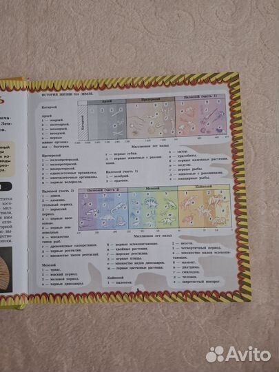 Как все устроено