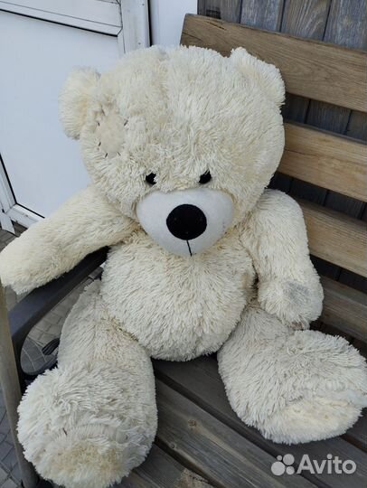 Отдам за большую шоколадку)