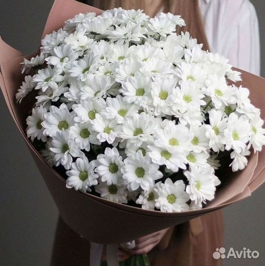 Хризантема Доставка цветов