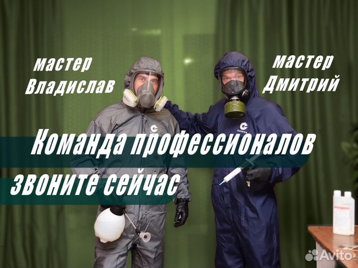 Уничтожение тараканов, клопов. Дезинфекция запахов