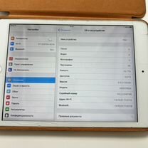 iPad mini 2013