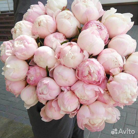 Пионы букет