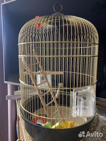 Клетка для птиц