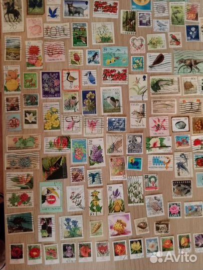 Марки спорт, техника и флора и фауна