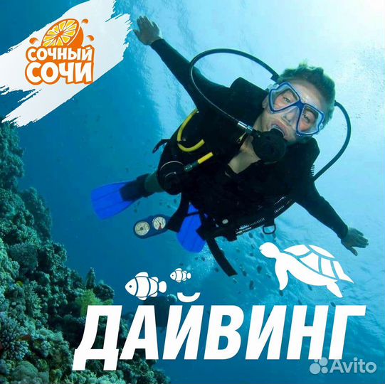 Дайвинг круглый год