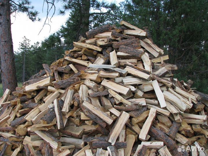 Дрова колотые хвойные