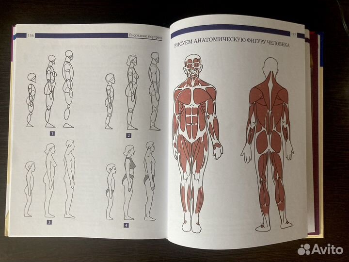 Учебник по рисованию Терещенко Н. А