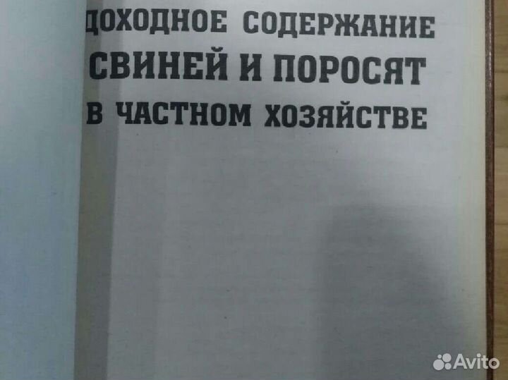 Содержание свиней книга