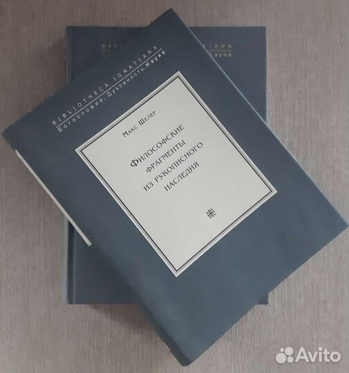 Макс Шелер. Философские фрагменты