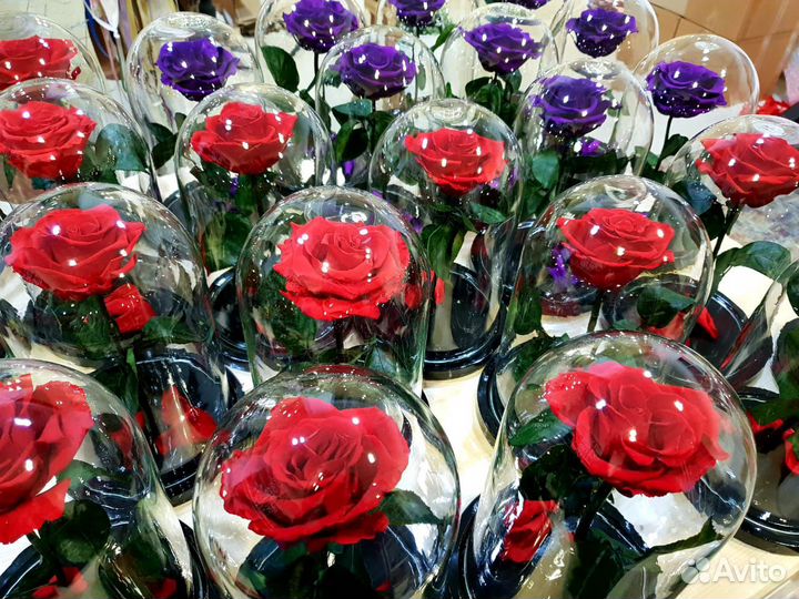 Роза в колбе