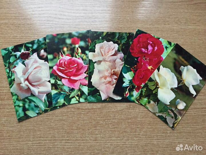 Набор открыток СССР