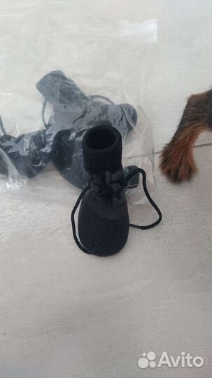 Одежда для маленьких собак