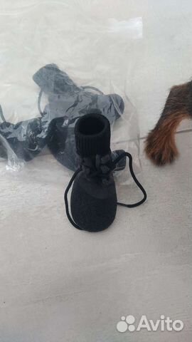 Одежда для маленьких собак