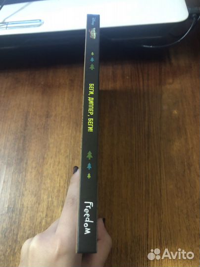 Граффити Фолз - Беги, Диппер, беги