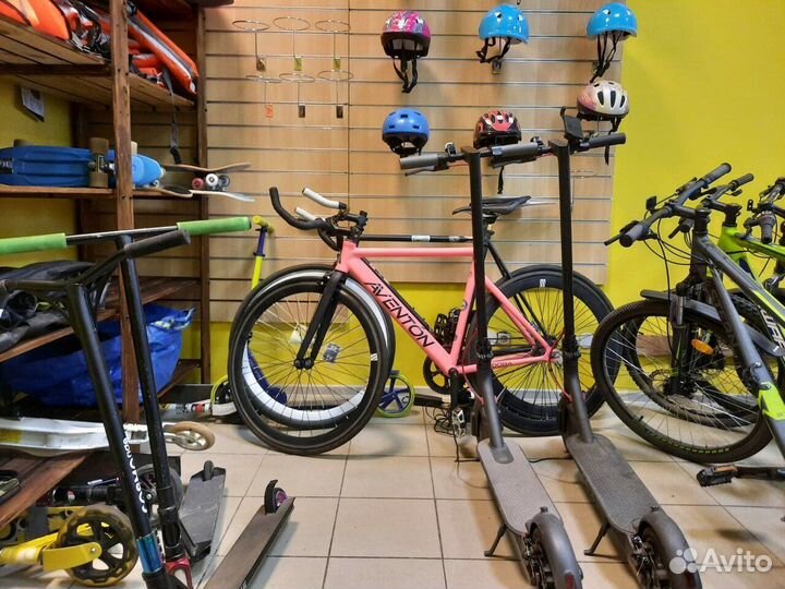 Прокат велосипедов у парка 300-летия СПб