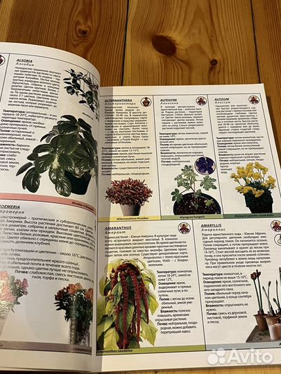 Энциклопедия всех комнатных растений