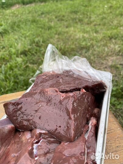 Свежее мясо