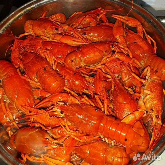 Волжские раки круглосуточно