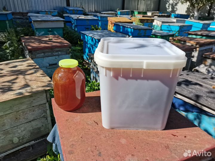 Мёд, разнотравье 2023