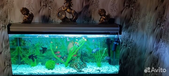 Аквариум