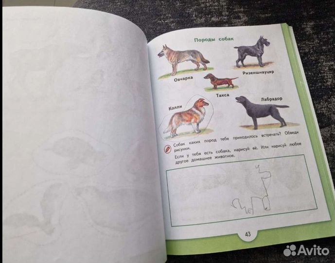 Зеленая тропинка