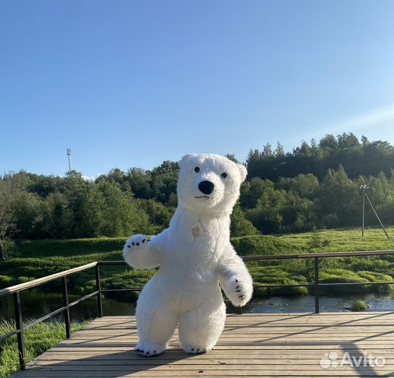 Большой белый мишка (2,6 метра), поздравления