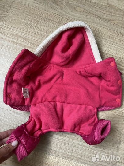 Одежда для собак мелких пород