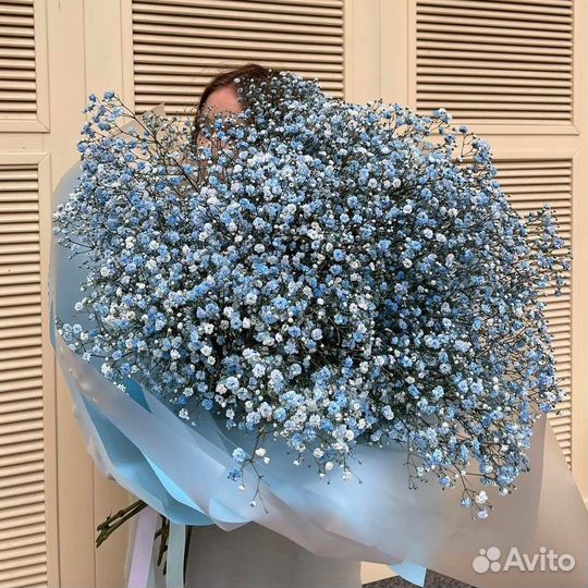 WOW Букеты из Радужной Гипсофилы. Доставка Цветов