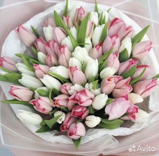 Цветы тюльпаны