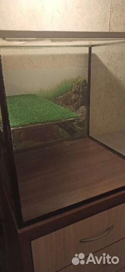 Комод с аквариумом