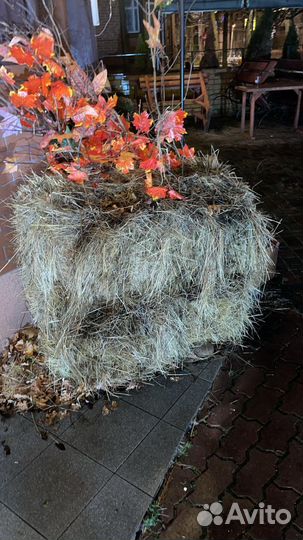 Отдам 2 стога сена