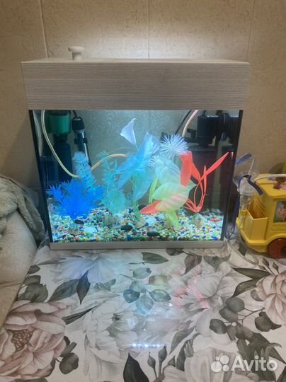 Аквариум под ключ 10 л, фильтр