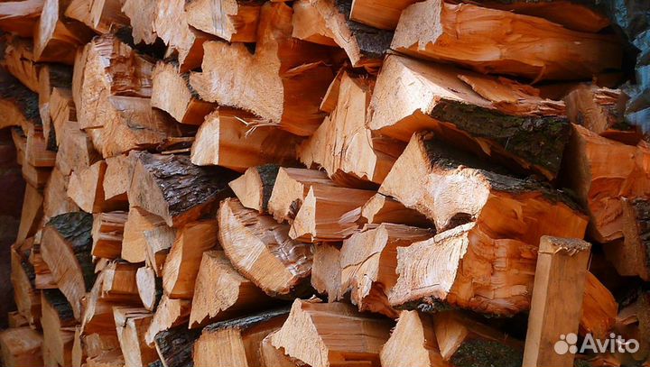 Дрова береза