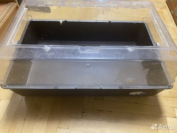 Клетка дюна