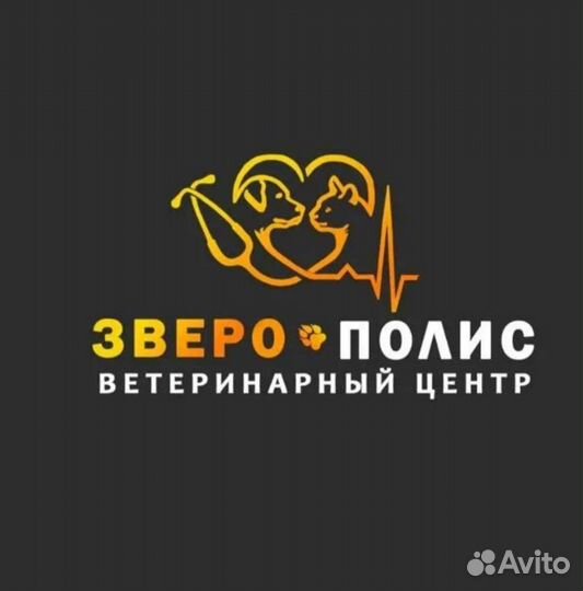 Ветеринарный врач