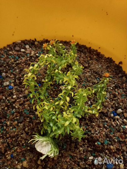 Грунт Декорации для аквариума Камни