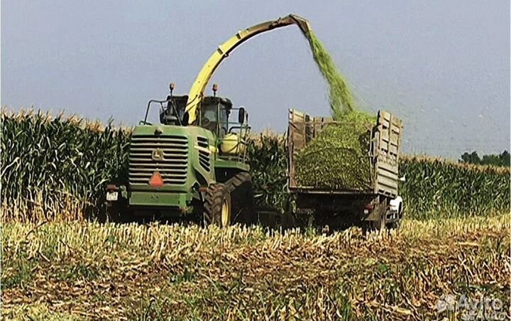 Силос,сенаж